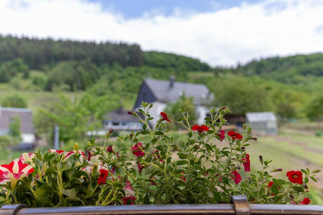 Ferienwohnungen Schorn Burg  Exteriör bild